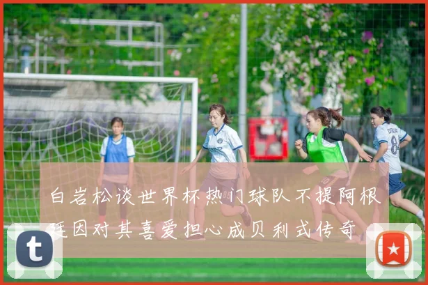 白岩松谈世界杯热门球队不提阿根廷因对其喜爱担心成贝利式传奇