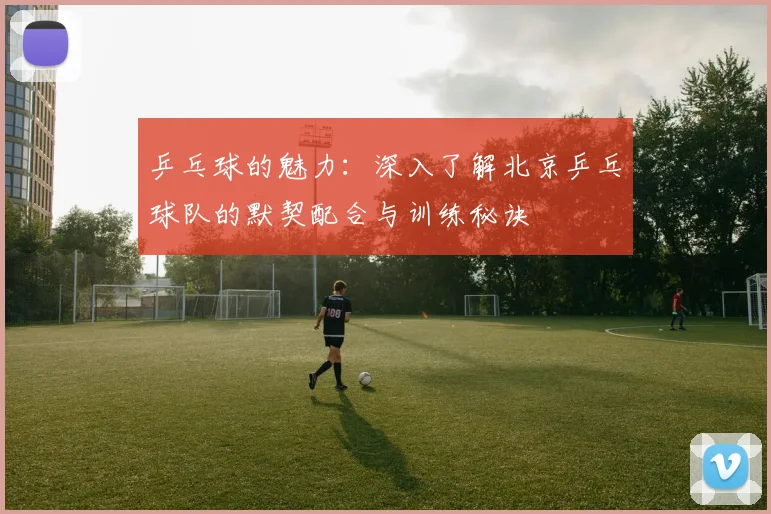 乒乓球的魅力：深入了解北京乒乓球队的默契配合与训练秘诀