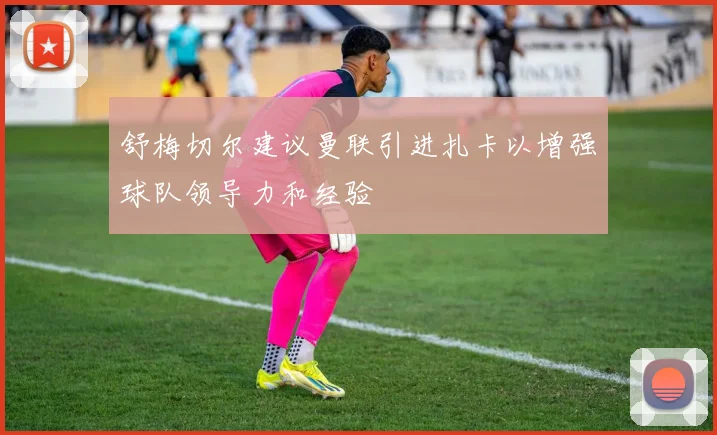 舒梅切尔建议曼联引进扎卡以增强球队领导力和经验