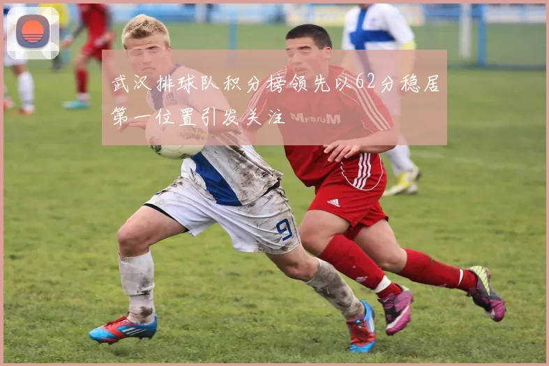 武汉排球队积分榜领先以62分稳居第一位置引发关注