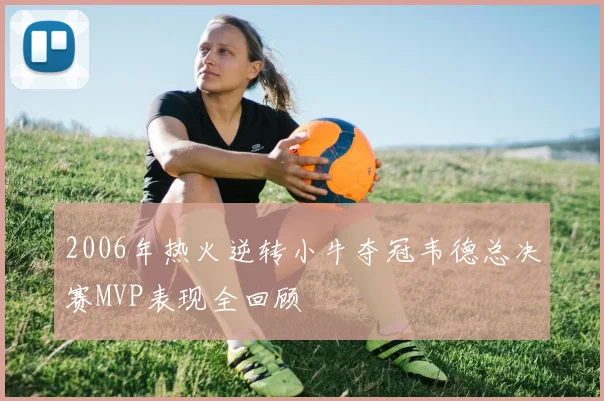 2006年热火逆转小牛夺冠韦德总决赛MVP表现全回顾
