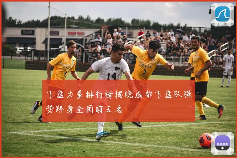 飞盘力量排行榜揭晓成都飞盘队强势跻身全国前五名